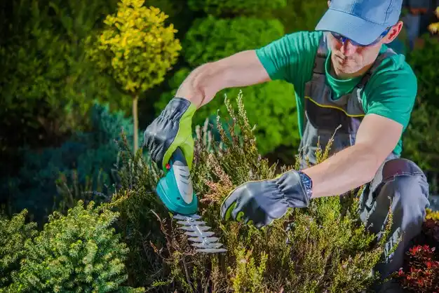 landscaping services Orrville